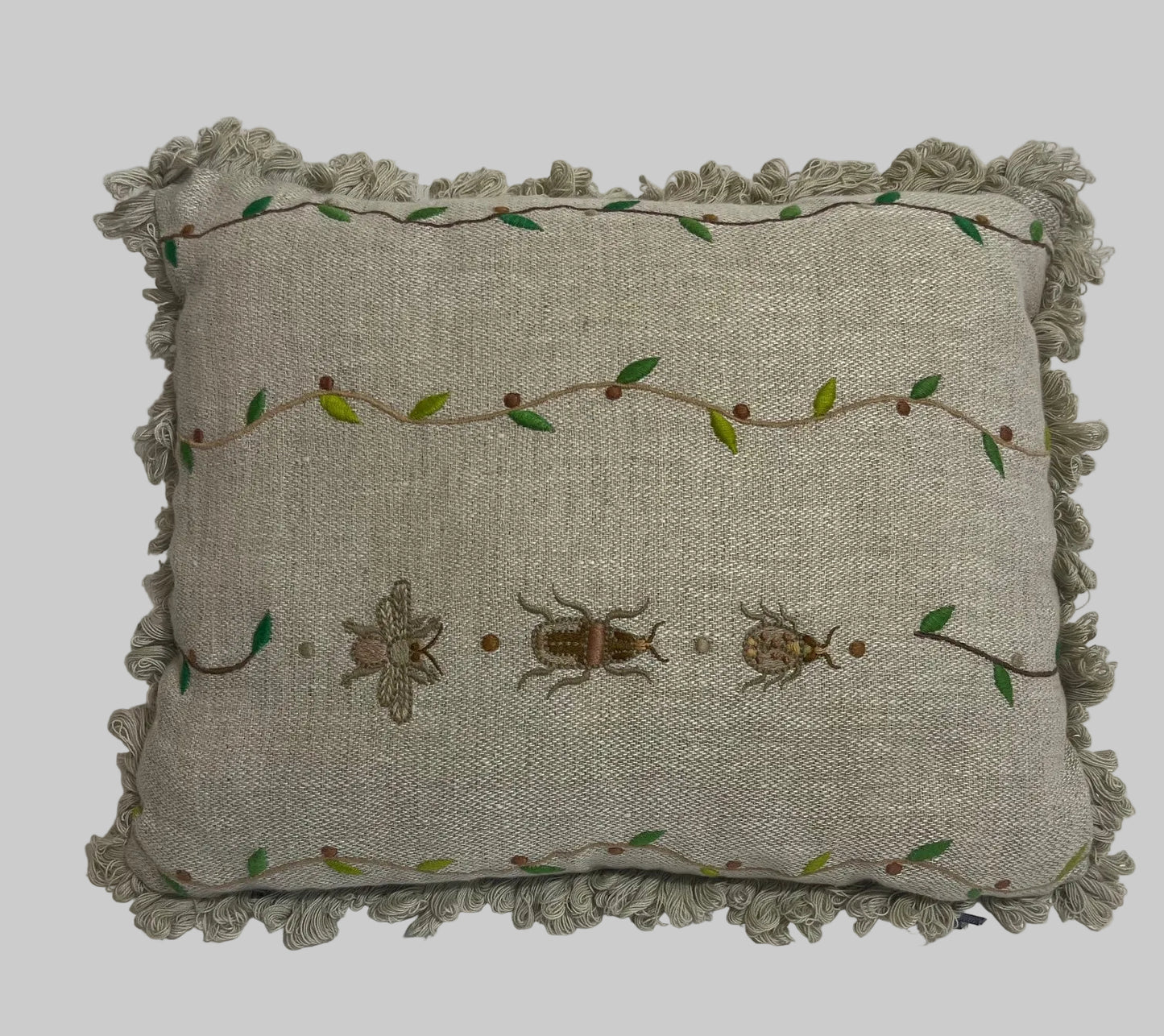 Cushion  Beetle Trail