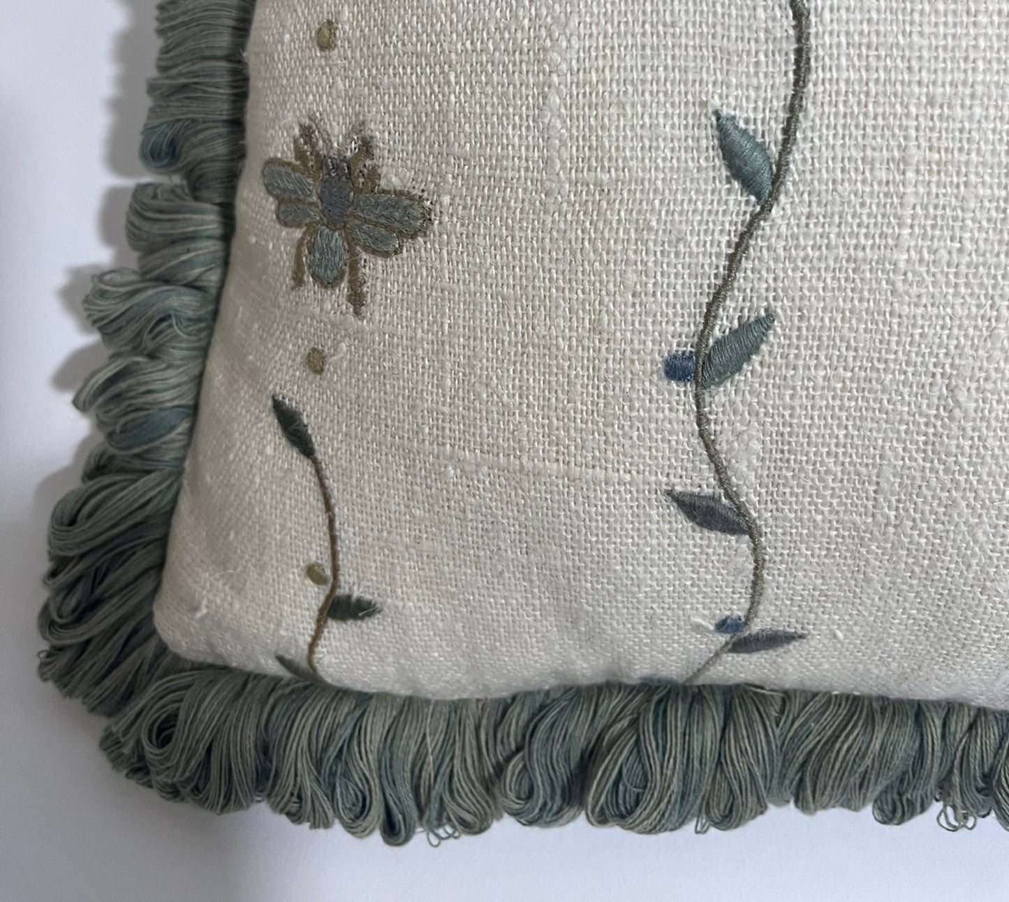 Cushion Beetle Trail